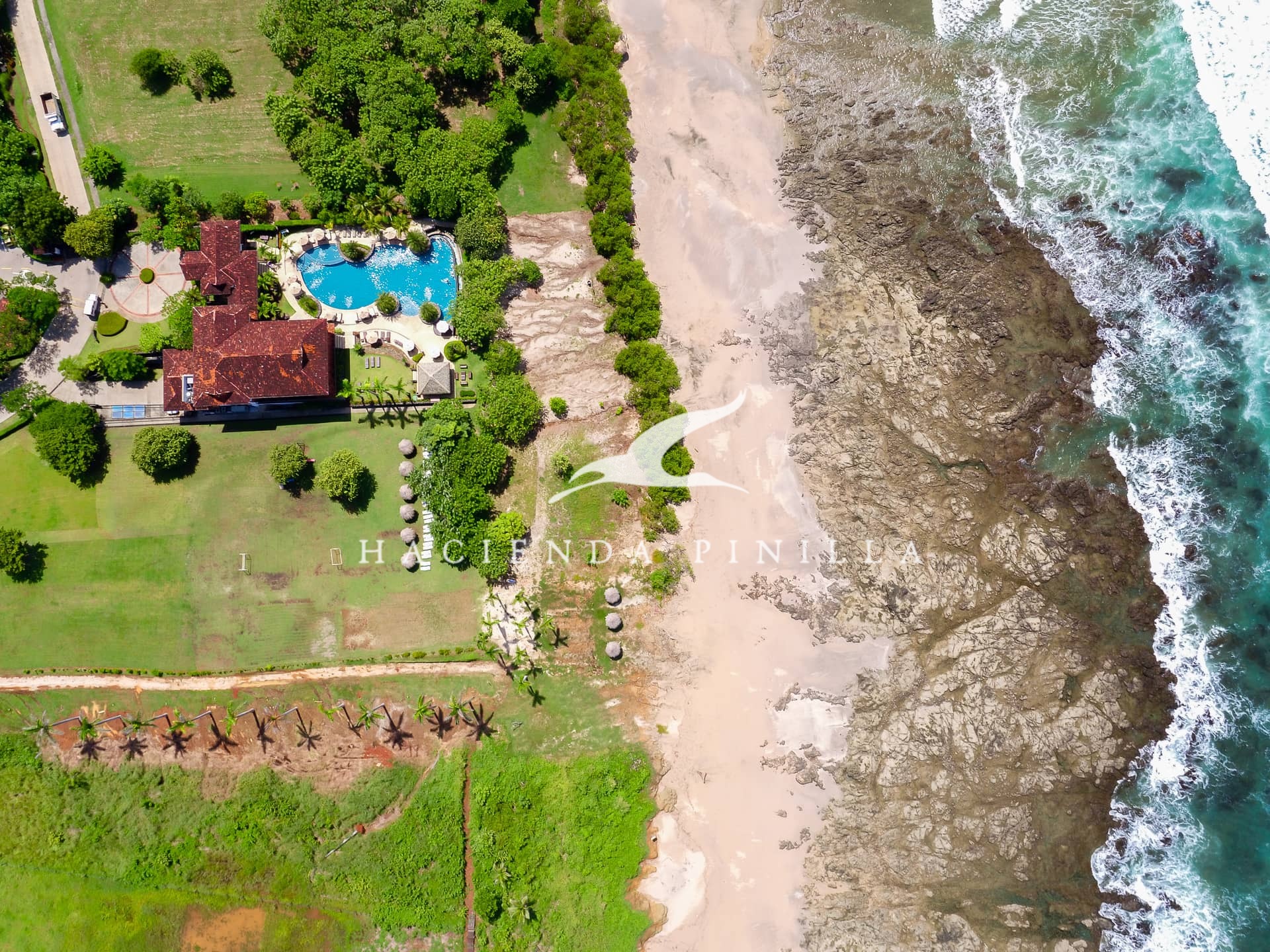 beach club gallery photo